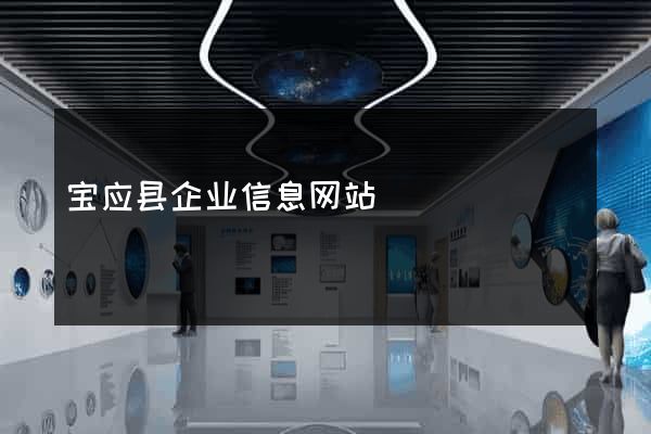 宝应县企业信息网站