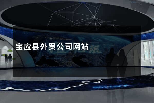 宝应县外贸公司网站