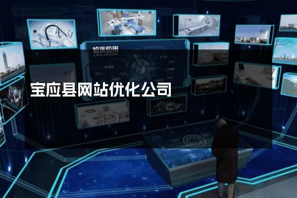 宝应县网站优化公司