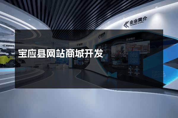 宝应县网站商城开发