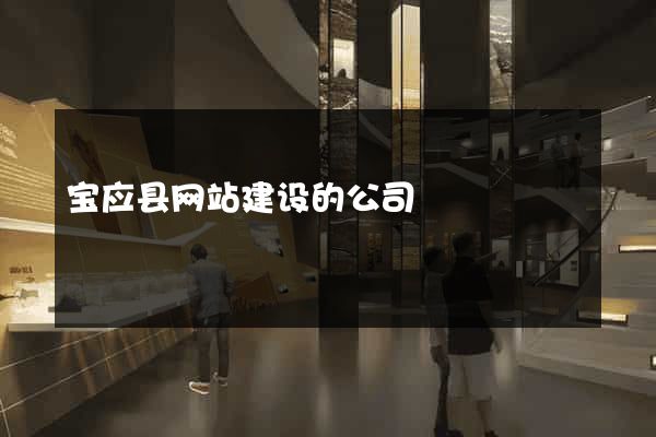宝应县网站建设的公司
