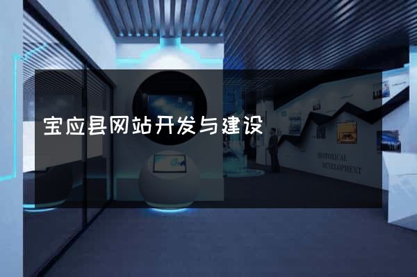 宝应县网站开发与建设