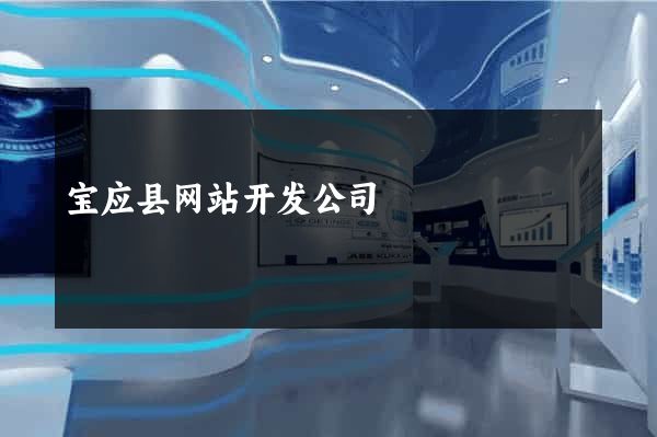 宝应县网站开发公司