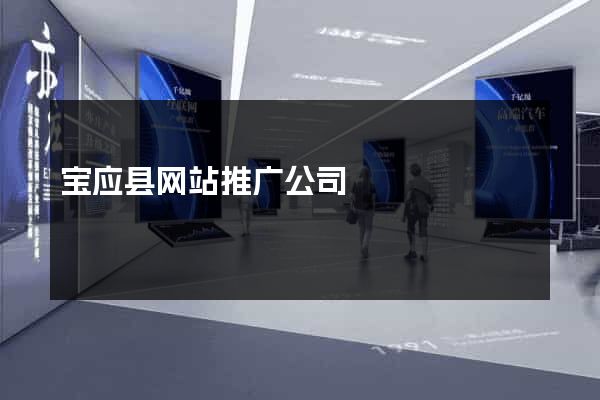 宝应县网站推广公司