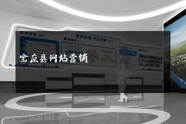 宝应县网站营销