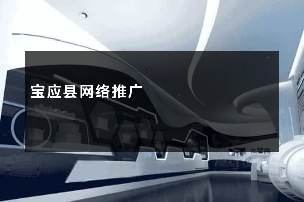 宝应县网络推广