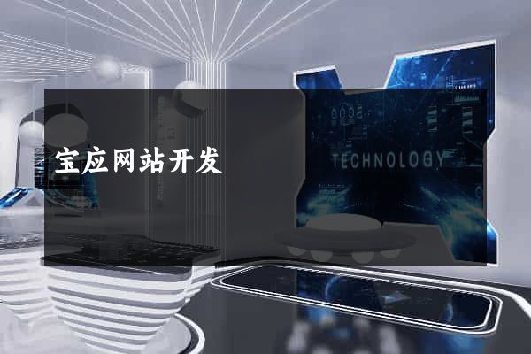 宝应网站开发