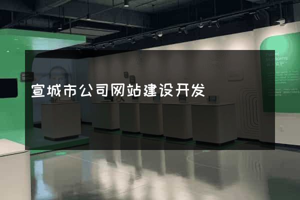 宣城市公司网站建设开发