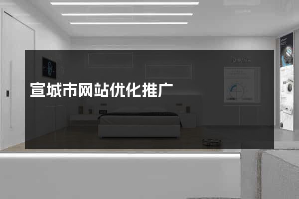 宣城市网站优化推广