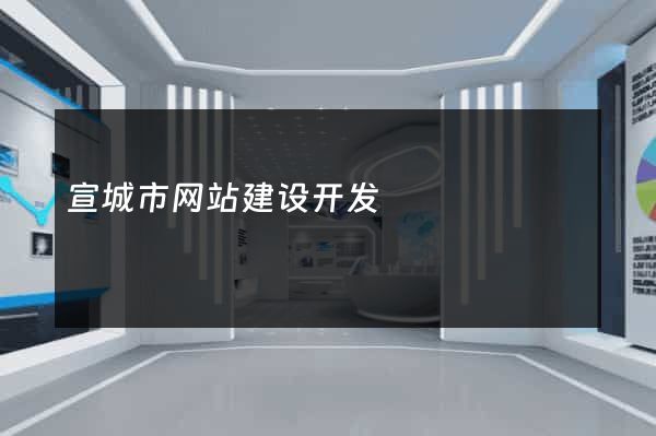 宣城市网站建设开发