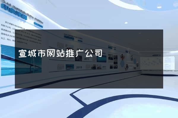 宣城市网站推广公司