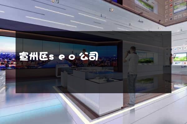 宣州区seo公司