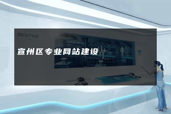 宣州区专业网站建设