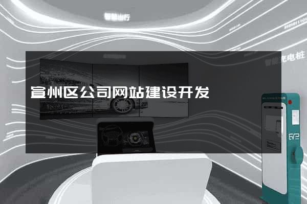 宣州区公司网站建设开发