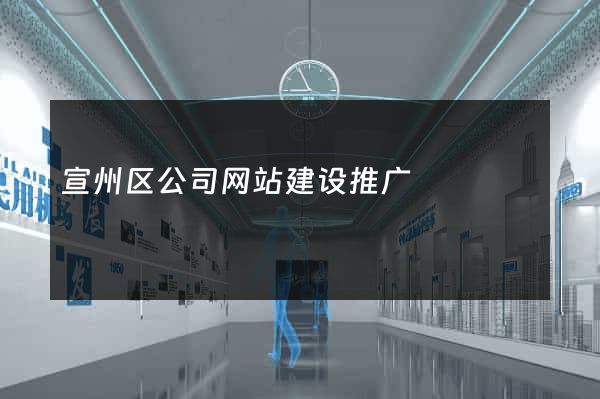 宣州区公司网站建设推广