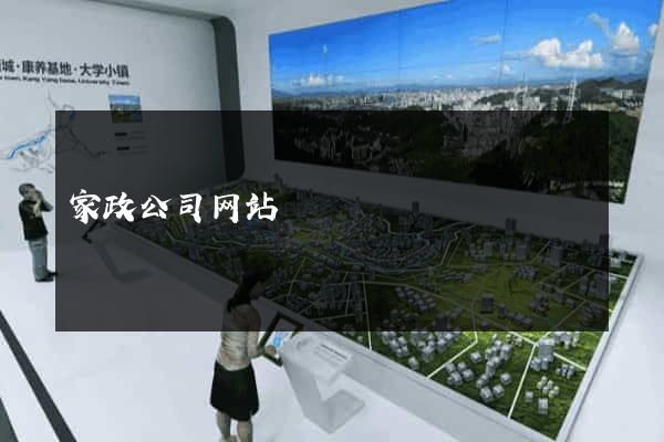 家政公司网站