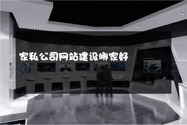 家私公司网站建设哪家好
