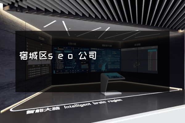 宿城区seo公司