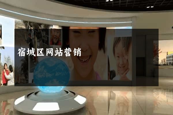 宿城区网站营销