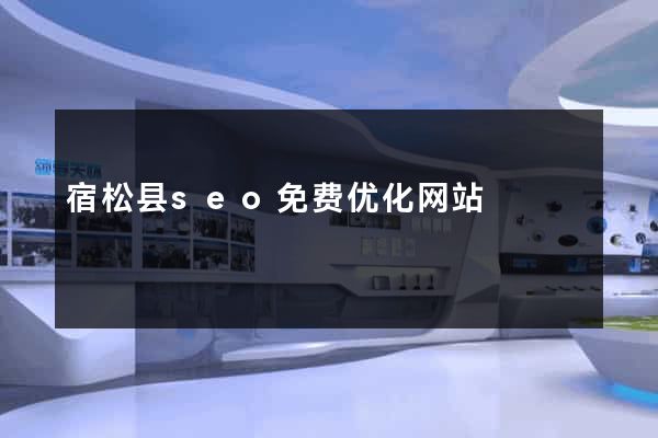 宿松县seo免费优化网站