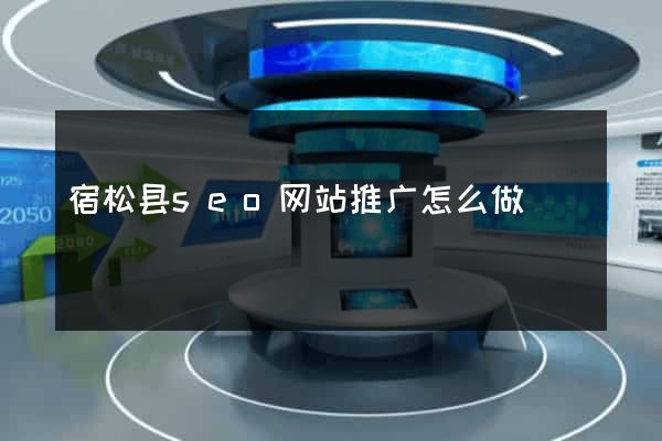 宿松县seo网站推广怎么做