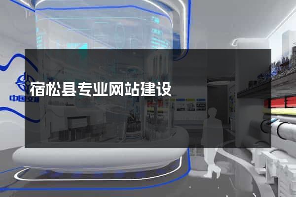 宿松县专业网站建设