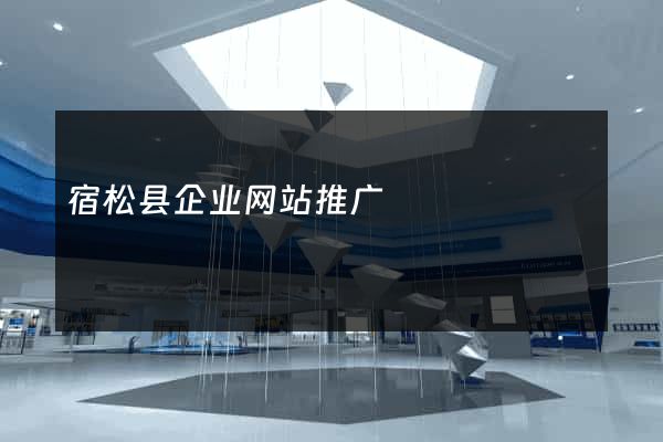 宿松县企业网站推广