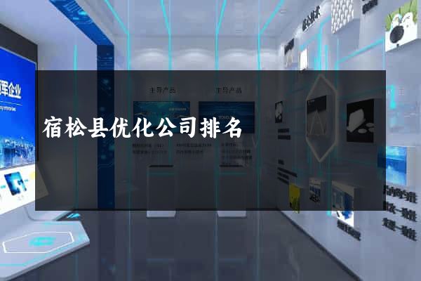 宿松县优化公司排名