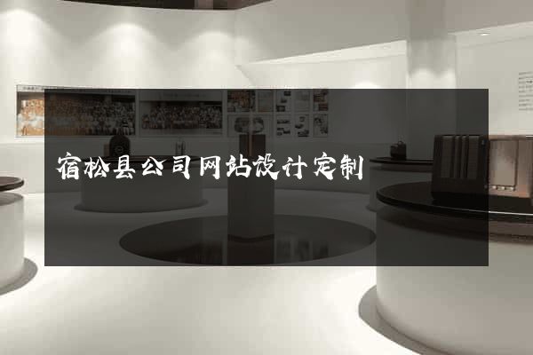 宿松县公司网站设计定制