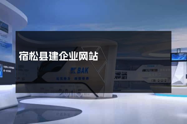 宿松县建企业网站