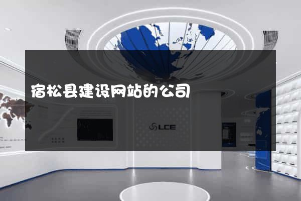 宿松县建设网站的公司