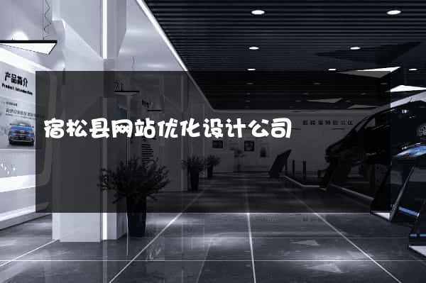 宿松县网站优化设计公司