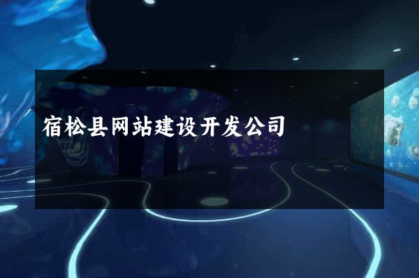 宿松县网站建设开发公司