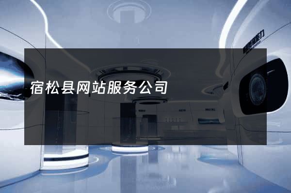 宿松县网站服务公司