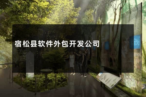 宿松县软件外包开发公司