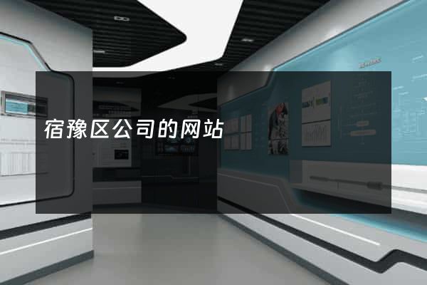 宿豫区公司的网站