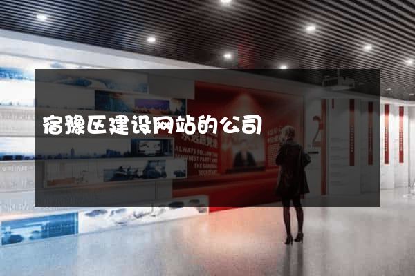 宿豫区建设网站的公司