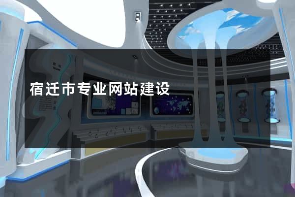 宿迁市专业网站建设