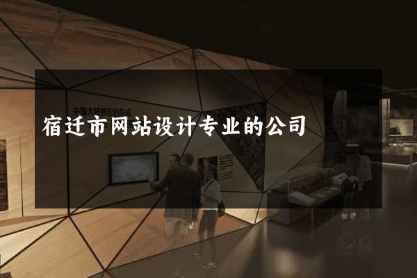 宿迁市网站设计专业的公司