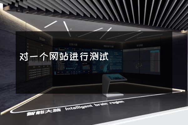 对一个网站进行测试
