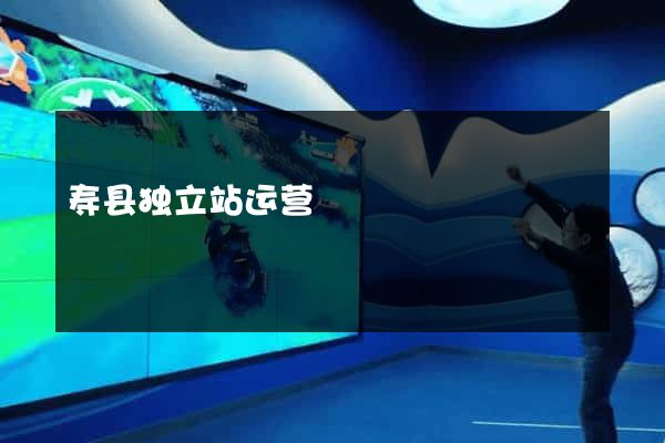 寿县独立站运营