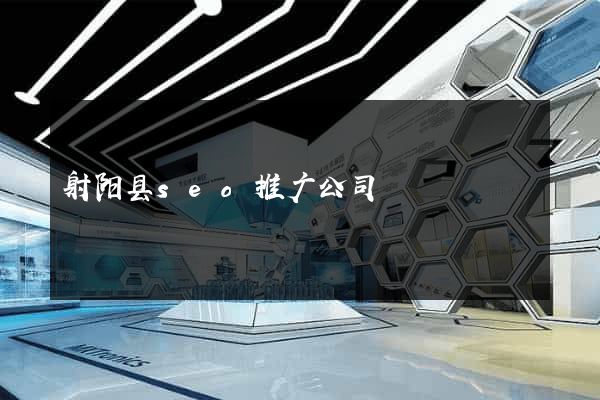 射阳县seo推广公司