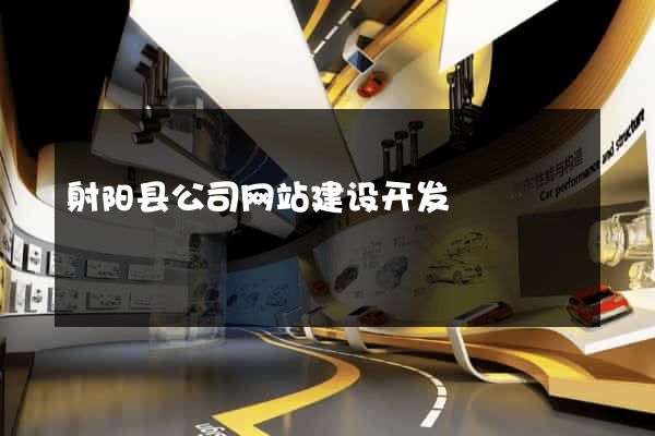 射阳县公司网站建设开发