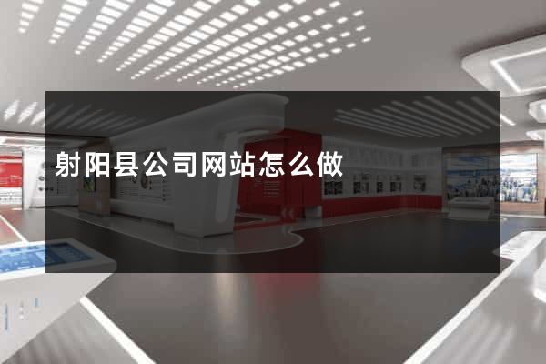 射阳县公司网站怎么做