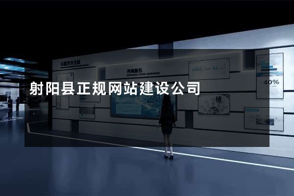 射阳县正规网站建设公司