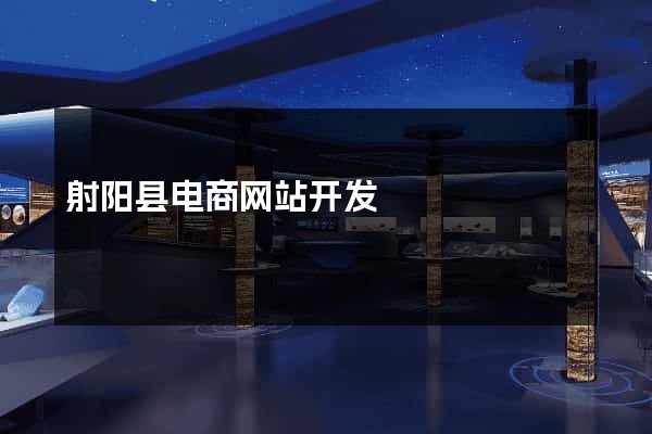 射阳县电商网站开发