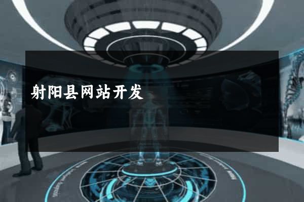 射阳县网站开发
