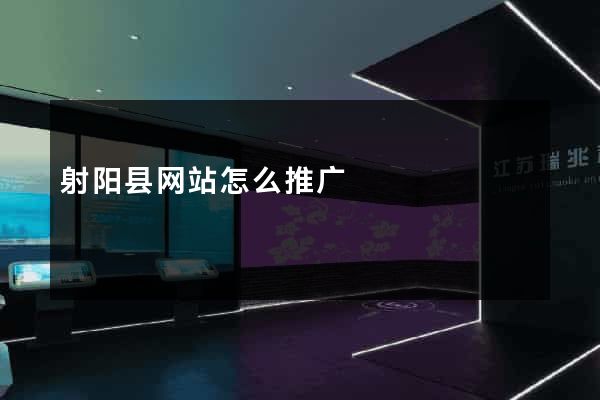 射阳县网站怎么推广