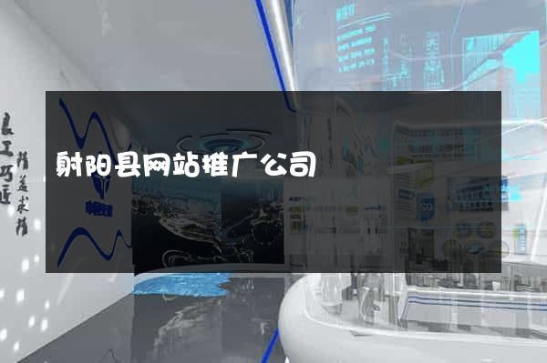 射阳县网站推广公司