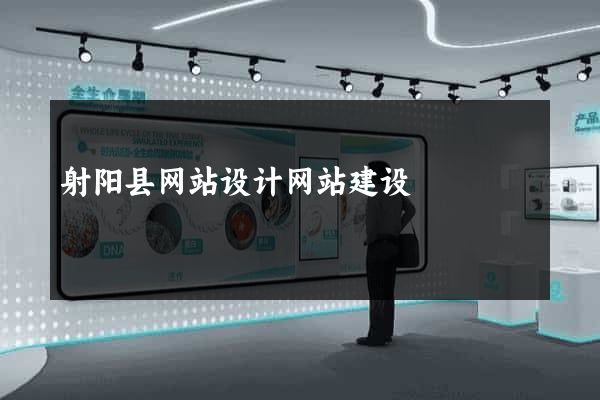 射阳县网站设计网站建设